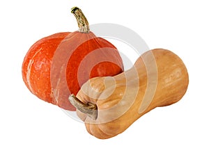 Two different pumpkins isolated on white