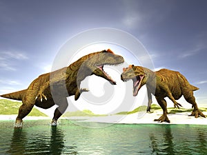 Two dinosaurs