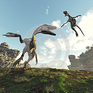 Two dinosaurus fighting in the valley