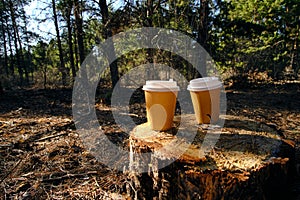 Two disposable cups for coffee in the forest on stump on a bright sunny day.Picnic in nature in forest