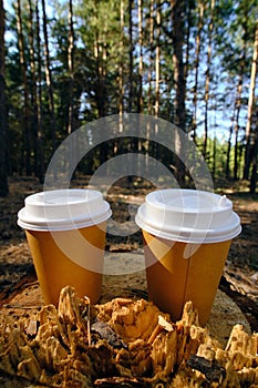 Two disposable cups for coffee in the forest on stump on a bright sunny day.Picnic in nature in forest