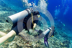 Two divers scuba diving in tropical sea at reef