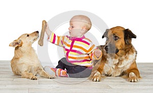 Two dogs flanking a cute baby photo
