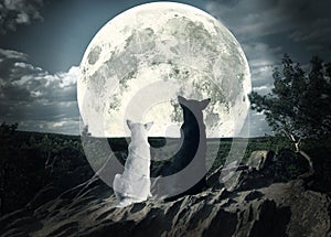 Two dogs looking at the moon