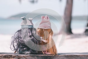 Two dolls so cute sitting on wood swing with sea beach background