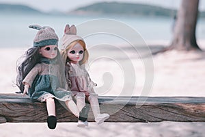 Two dolls so cute sitting on wood swing with sea beach background