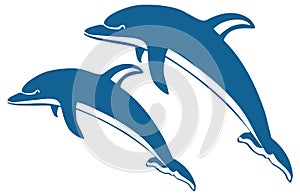 Two dolphins