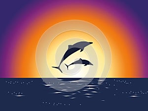 Two dolphins silhouette jumping at sunrise sea and ocean