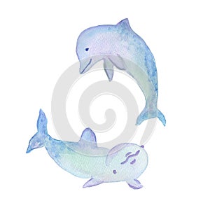 two dolphins with smile emotions set watercolor illustration isolated on white background base for textile design photo