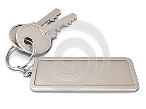Two door keys and rectangular blank label on ring