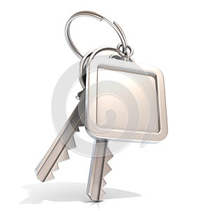 Two door keys and square blank label on ring