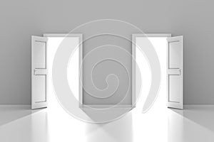 Two doors with copyspace, 3d render