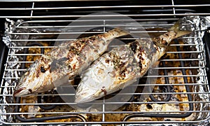 Two Dorade fishes on the barbecue