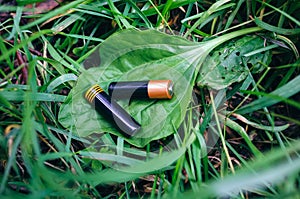 Two double A batteries are lying on the green grass in forest. Harmful pollution of the environment