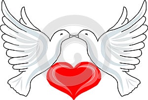 Two doves with heart
