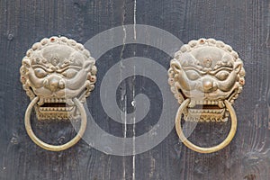 Two dragon lion handles