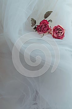 Two dried pink roses on creamy white veil