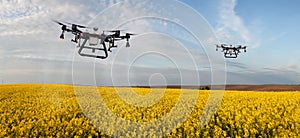 A two drone sprays a yellow field of rape against pests in a cloudy sky