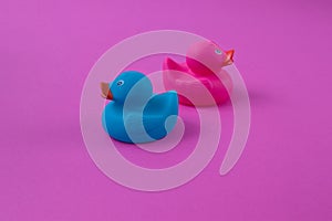 Two ducks pink and blue next to each other in opposite directions sacopy space on a purple background. Minimal flat lay scene photo