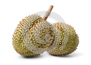 Two Durian fruits