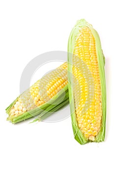 Two ear of corn with leaves isolated on white background