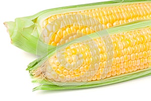 Two ear of corn with leaves isolated on white background