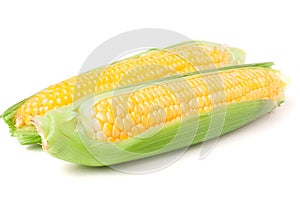 Two ear of corn with leaves isolated on white background