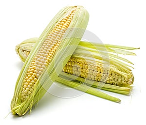 Corn