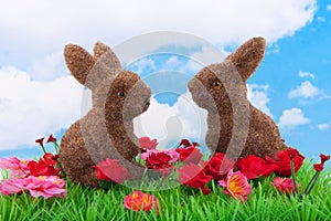 Two easter bunnies on a green lawn