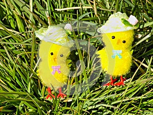 Two Easter chicks sitting on the grass - green, grassy background