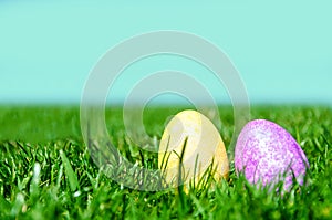 Two Easter eggs on the green grass and sky background