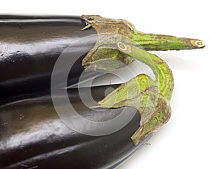 two eggplants