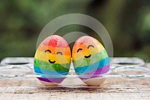 Two eggs are colored in the colors of the rainbow as a flag of g