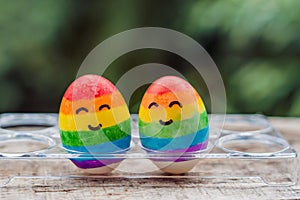 Two eggs are colored in the colors of the rainbow as a flag of gays and lesbians as well as Easter eggs. Homosexual concept