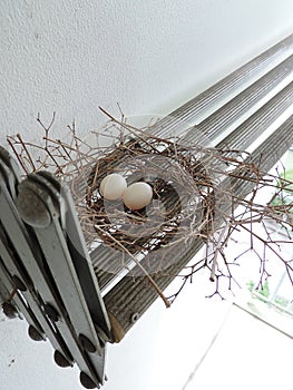 Two eggs of red collared dove birds in the nest on aluminum cloths racks.