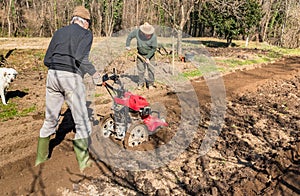 Two elderly men tilling ground soil with a rototiller in the garden.