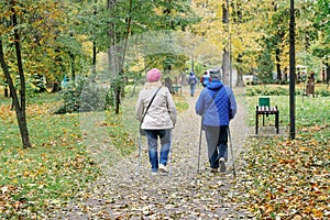 Two elderly women are engaged in Nordic walking in the park and among the trees. Scandinavian walking. Rear view