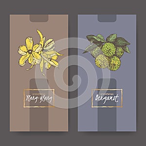 Two elegant labels with ylang and bergamot bouquet color sketch.