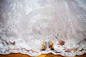 Two elegant wedding rings on a white dress background.