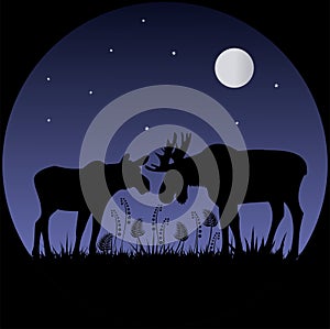 Two elks silhouettes in moonlight