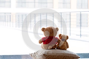 Two embracing bear cubs on a white background