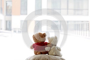 Two embracing bear cubs on a white background