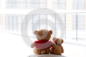 Two embracing bear cubs on a white background
