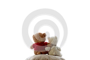 Two embracing bear cubs on a white background