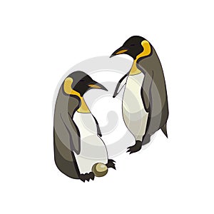 Two Emperor penguins with an egg in Cartoon style on white isolated background, vector stock illustration for prints and patterns