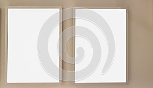 Two Empty Frame On The Shelf With Books.Blank Advertisement Banner Poster Mock Up Isolated Template Clipping Path