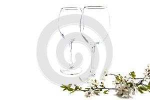Two empty glasses with blooming cherry twig