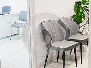 Two empty gray designer chairs and green houseplant in the foreground in a medical waiting room in a white clinic interior. Open