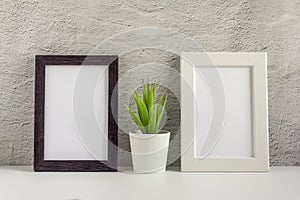 Two empty photo frames on a table or shelf with a copy of the space