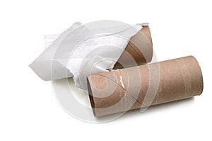 Two empty toilet paper rolls lay down on White Background
